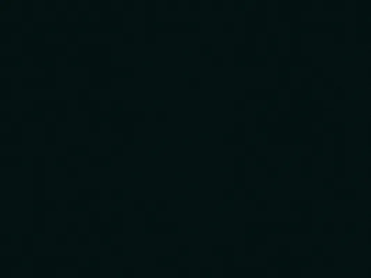 Nr. 994 Schwarz supermatt